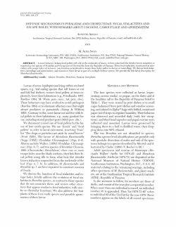 defense mechanisms in pyralidae and choreutidae: fecal stalactites