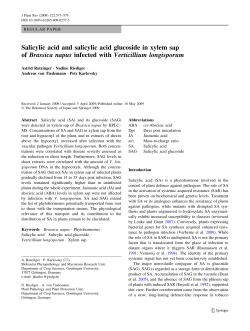 Salicylic acid and salicylic acid glucoside in xylem sap ofBrassica