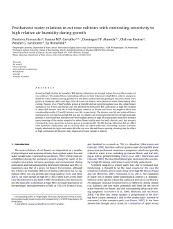 Postharvest water relations in cut rose cultivars with contrasting