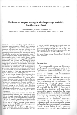 Evidence of magma mixing in the Itaporanga batholith