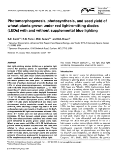 Photomorphogenesis, photosynthesis, and seed