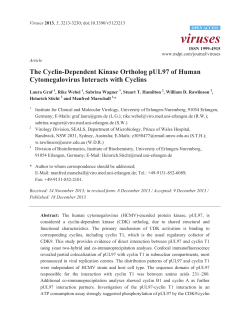 The Cyclin-Dependent Kinase Ortholog pUL97 of Human