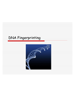 DNA Fingerprinting copy