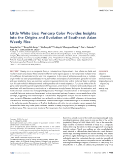 Little White Lies: Pericarp Color Provides Insights into the Origins