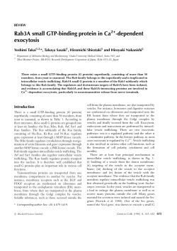 Rab3A small GTP-binding protein in Ca