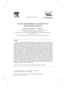 Arsenic and phosphorus in seagrass leaves from the Gulf of Mexico