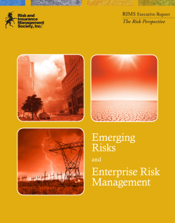 Emerging Risks