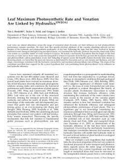 Leaf Maximum Photosynthetic Rate and Venation Are Linked by