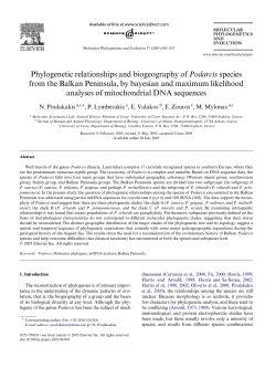 Phylogenetic relationships and biogeography of Podarcis species