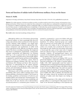 Form and function of radular teeth of herbivorous molluscs: Focus on