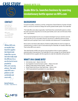 Snake Bite Co. Case Study