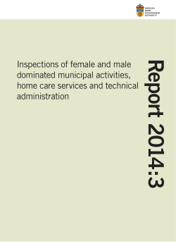 Inspections of female and male dominated municipal acitivities