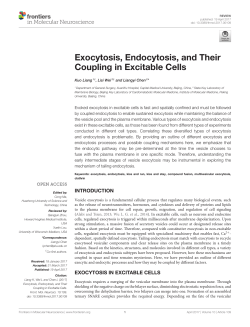 Exocytosis, Endocytosis, and Their Coupling in Excitable Cells