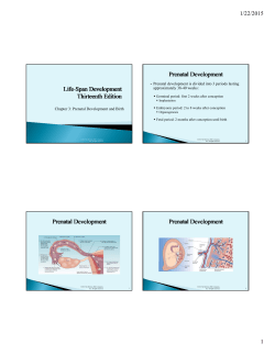 Chapter 3: Prenatal Development and Birth Prenatal development is