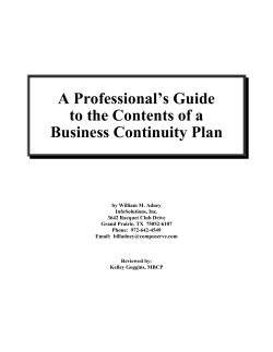 A Professional`s Guide to the Contents of a Business Continuity Plan