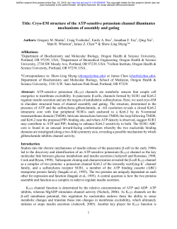 Cryo-EM structure of the ATP-sensitive potassium channel