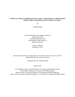Thesis - Auburn University
