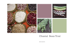 Chantal Bean Trial .pptx