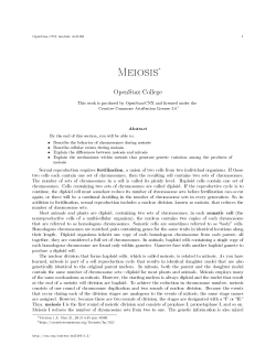 Meiosis - OpenStax CNX