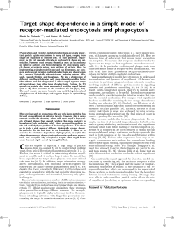 Target shape dependence in a simple model of receptor