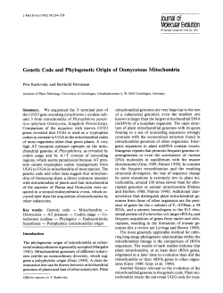 Genetic code and phylogenetic origin of oomycetous mitochondria