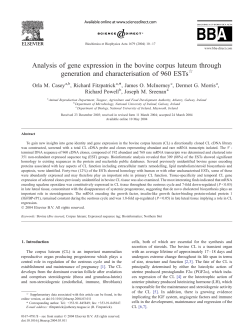 Analysis of gene expression in the bovine corpus luteum through