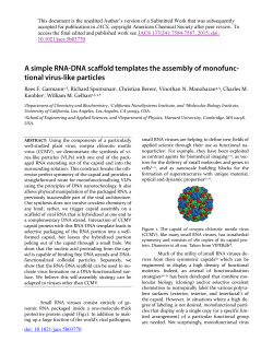 A simple RNA-DNA scaffold templates the assembly of