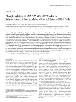 Phosphorylation of SNAP-25 at Ser187 Mediates