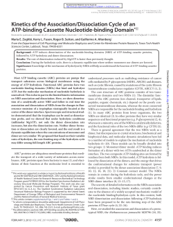 Kinetics of the Association/Dissociation Cycle of an ATP