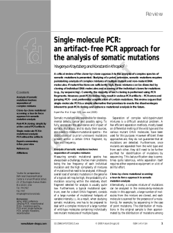 Single-molecule PCR: an artifact-free PCR