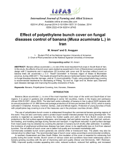 Effect of polyethylene bunch cover on fungal diseases control of