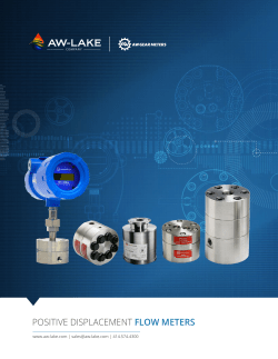 positive displacement flow meters - AW