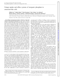 Unique uptake and efflux systems of inorganic phosphate - AJP-Cell