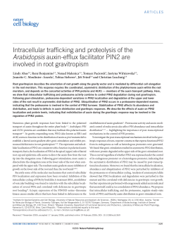 Intracellular trafficking and proteolysis of the