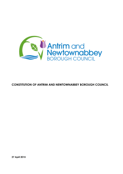 Constitution - Antrim and Newtownabbey Borough Council