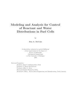 Modeling and Analysis for Control of Reactant and Water