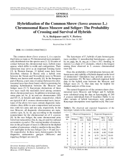 Hybridization of the Common Shrew (Sorex araneus L