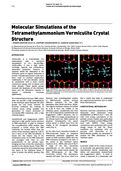 Molecular Simulations of the Tetramethylammonium Vermiculite