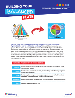Building Your Balanced Plate
