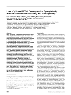 Loss of p53 and MCT-1 Overexpression Synergistically Promote