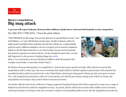 Mexico`s Maquiladoras: Big Maq Attack