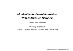 Introduction to Neuroinformatics: Winner-takes