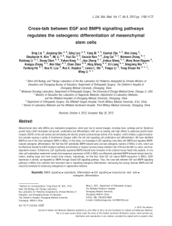 Crosstalk between EGF and BMP9 signalling pathways regulates