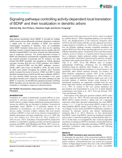 Signaling pathways controlling activity