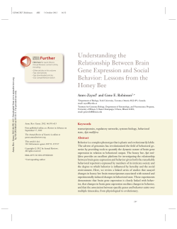 Understanding the Relationship Between Brain Gene Expression