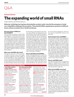 Molecular biology -- The expanding world of small RNAs