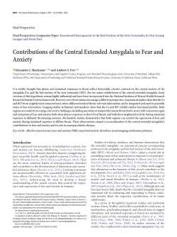 Contributions of the Central Extended Amygdala to Fear and Anxiety