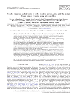 Genetic structure and diversity of coffee (Coffea