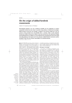 Iwaniuk (2000) On the origin of skilled forelimb