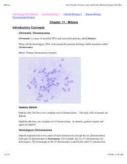 Chapter 11 - Mitosis Introductory Concepts